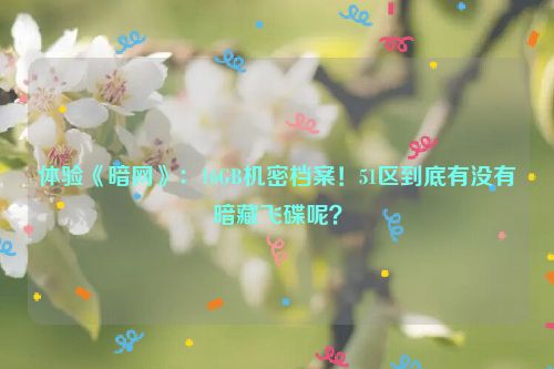 体验《暗网》：16GB机密档案！51区到底有没有暗藏飞碟呢？