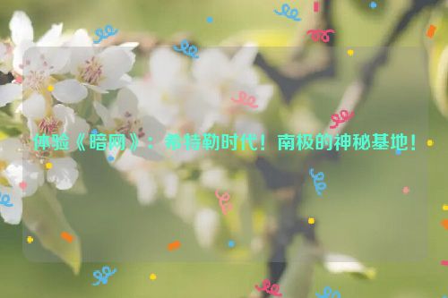 体验《暗网》：希特勒时代！南极的神秘基地！